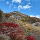 제320차 담양 가마골 생태공원 가을단풍 산행ㅡ 11월 5일 첫째일요일 이미지