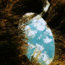 명상으로 치유하는 삶 | (광화문 명상) 모든 해결 방법은 내 안에 있다 - 파워 브레인 메소드 'PBM 명상'