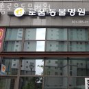 기흥로움동물병원 이미지