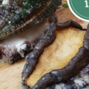 완도전복 이미지