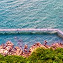 2025 6월 시티투어 이미지