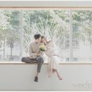 스튜디오틀