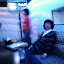 버블캣츠 이미지