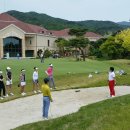드림골프 아카데미 Daum카페