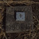 식장지맥 2구간(소리니재~금성산~태조 태실) 이미지