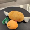 제천그레이스동물병원 네이버블로그