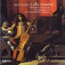 첼로 (B) 이미지