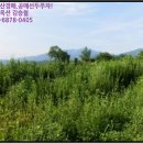 사탄경로당 네이버블로그