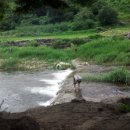 석암농장 이미지