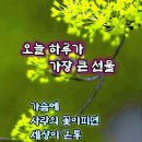 (주)서원유통 탑마트 영도동삼점