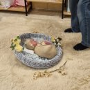 (주) 미소산후조리원 | 둘째 낳고 다시 찾은 수원 더미소산후조리원 내돈내산 후기