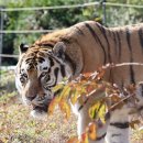 깊고 광활한 숲의 향연…국립백두대간수목원 이미지