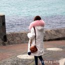 핑크팜 이미지