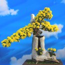 전남 화순 국화축제 2025 이미지