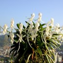 한국폴리텍 II 대학 남인천캠퍼스 이미지