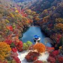 패스트본정형외과의원 이미지