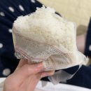 「24년 5월 두번째 일상기록」