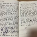 똘이언니 머니투데이