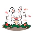 런닝맨운동화빨래방 이미지