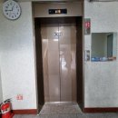 좌산초교 네이버블로그