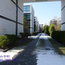 분당-379 이미지