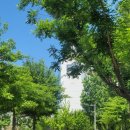 경양카츠 연남점 | 홍대 웨이팅 맛집| 경양카츠 연남점 | 평일 오픈런 웨이팅