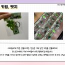 성정중 이미지