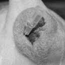 이레외과동물병원 이미지