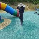 탕정초등학교병설유치원 이미지