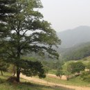 꽃동네 괴산목장 Daum카페