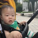 서강나루공원 이미지