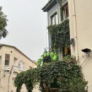 e좋은 호스텔 | 튀르키예 여행_이스탄불 구시가지 호스텔 Cheers Hostel