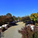 경주초우오토캠핑장 이미지