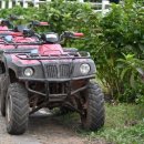 소랑세미 이미지