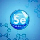 포천새맘요양병원 이미지