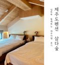 제주도 펜션 삼다숲, 조천읍 사려니숲과 동화마을, 돌문화공원, 비자림 근방 숙소 후기