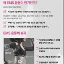 바디핏 EMS 이미지