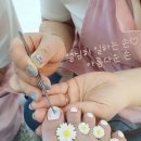 레푸스 이미지