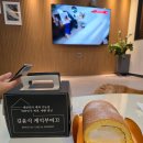 스테이미노 이미지