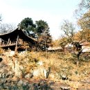 봉은사감로도 이미지