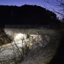 구룡달전로 이미지