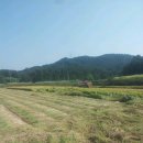 현희 농장 이미지