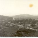 홍주약국 이미지