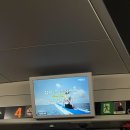 승리종합화장품 | 260627 직관/엘지트윈스vs롯데자이언츠/부산사직야구장 메디힐존 시야 엘롯라시코 후기