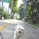 뭉투샵 이미지