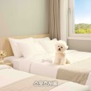 한화리조트제주 이미지