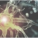 건강세상의원 이미지