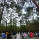 치유의숲 이미지