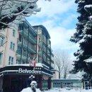 🇨🇭🇩🇪 12/12~12/21 스위스 설원 그린델발트, 뮤렌 트레킹 + 독일3대 크리스마스마켓 (직항 FRA 인아웃) 이미지