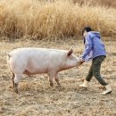 다희농장 이미지